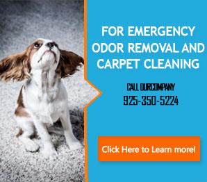 Stain Removal - Carpet Cleaning Lafayette, CA